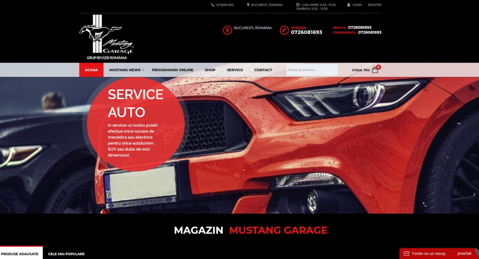 Mustang Garage